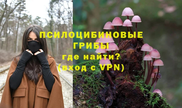 герыч Абаза