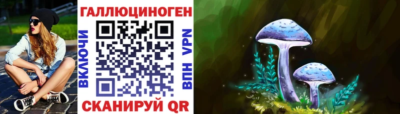 blacksprut ССЫЛКА  Петров Вал  Псилоцибиновые грибы мицелий 