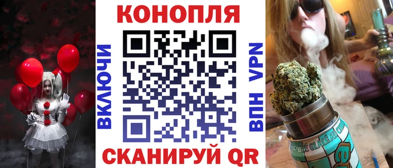 где найти   omg как войти  Шишки марихуана сатива  Петров Вал 